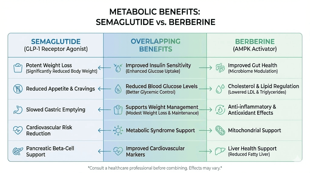 Semaglutide vs berberine metabolic benefits comparison infographic