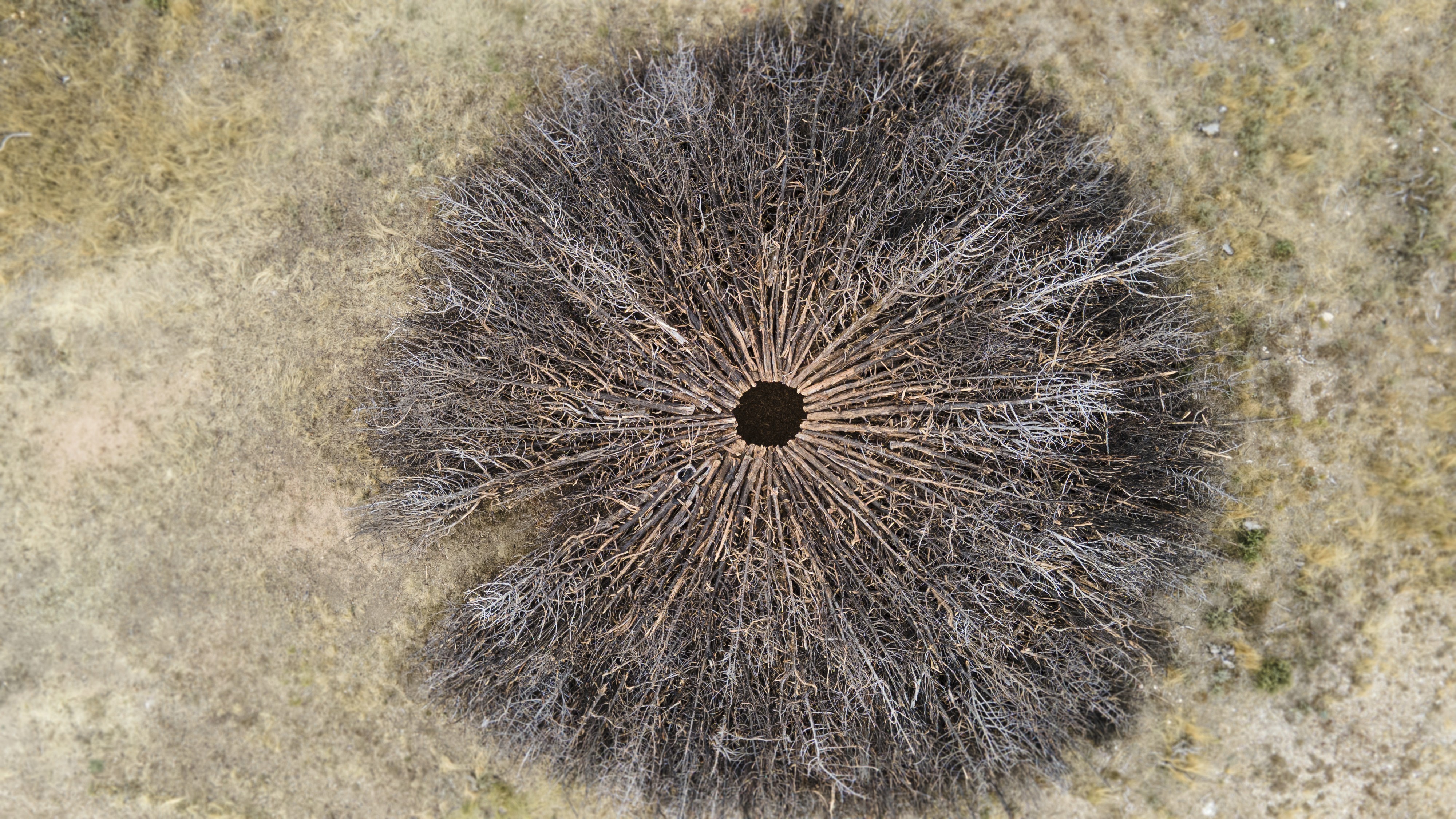 Socarrado, Nomad Studio, 41.9625° N, 3.4189° W Parque Natural Sabinares del Arlanza - La Yecla, Castilla y Leon, Spain, uncommissioned, 2025