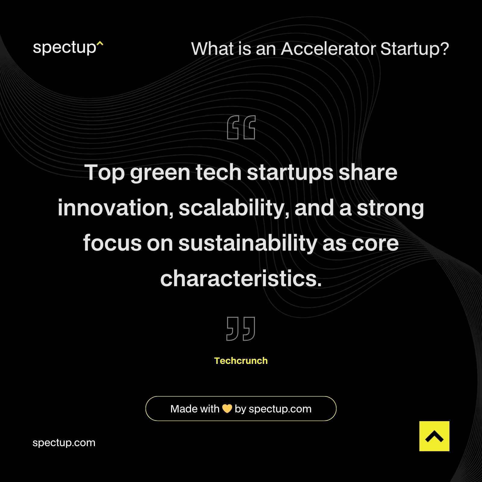 What is an Accelerator Startup?