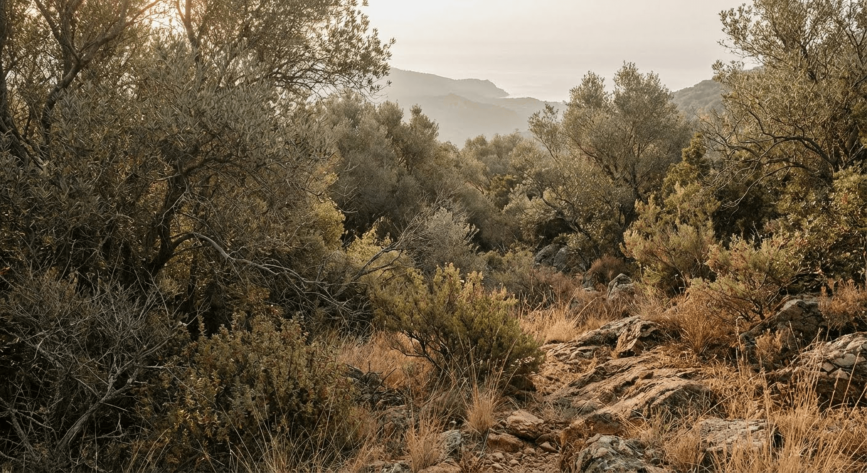 Bellevoire Reception
