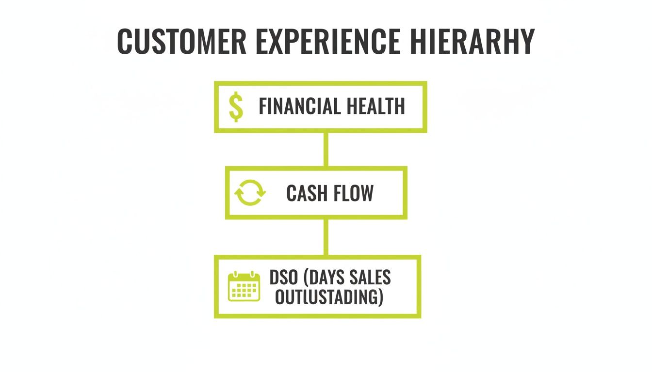 A customer experience hierarchy diagram showing financial health, cash flow, and days sales outstanding.