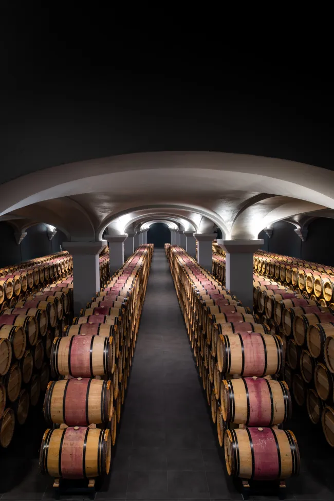 A dimly lit interior of a cellar with long rows of wooden barrels and a figure walking through the space.