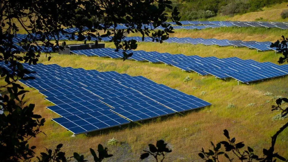 solar_farms_planting_the_future