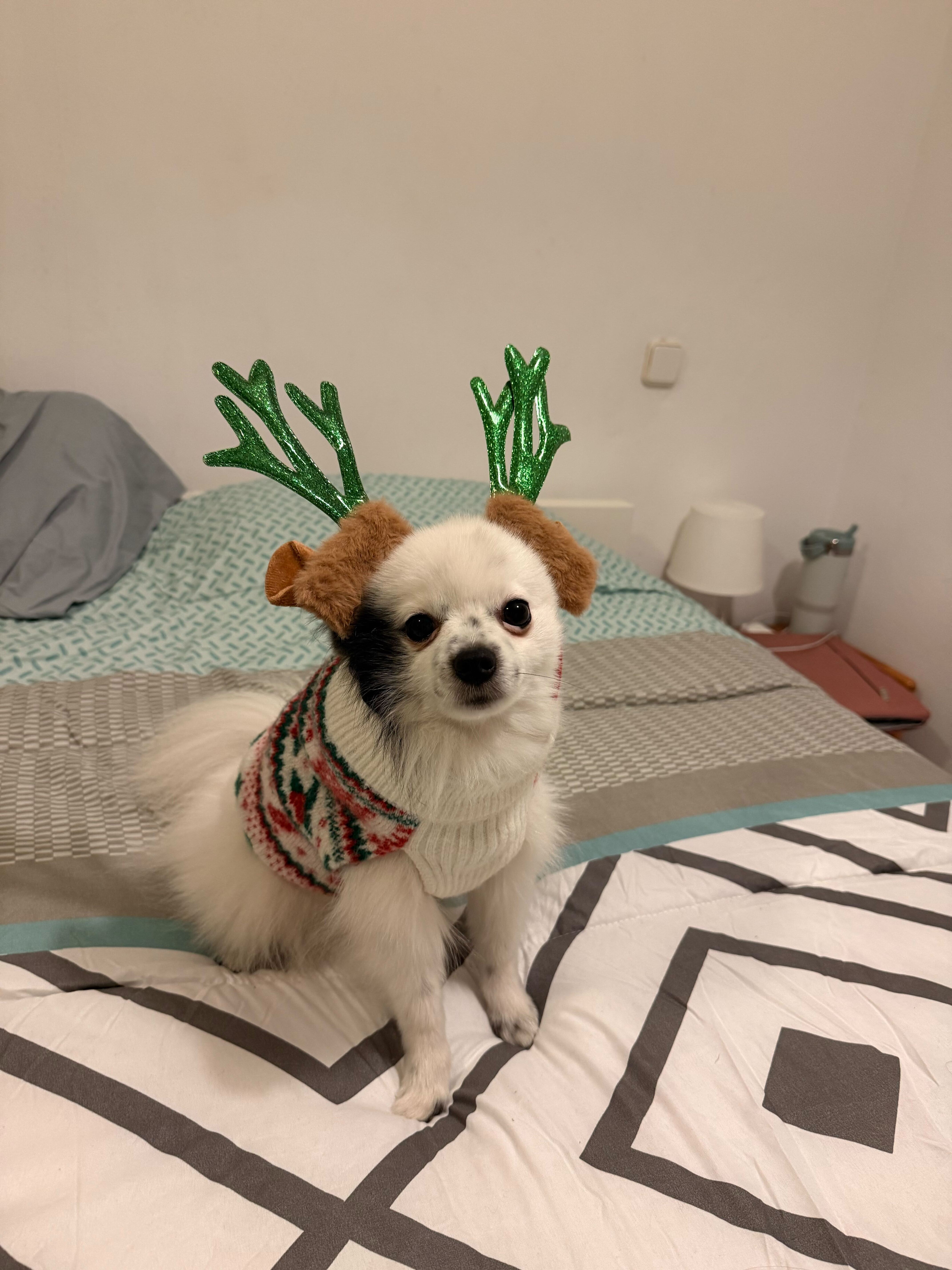 Profile portrait of a man in a white shirt against a light background