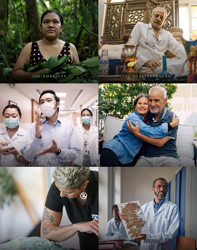 A grid of six traditional healers from all around the world for the Global World Health Organization campaign on traditional medicine
