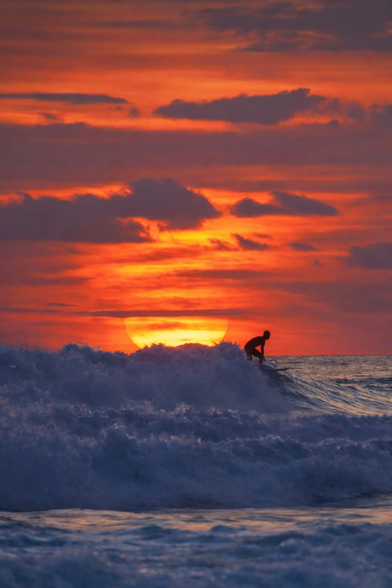 Surfer silhouetted on a breaking wave at sunset on Playa Carmen, Santa Teresa