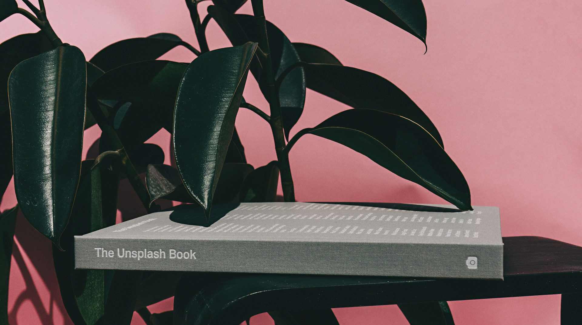 The Unsplash book photo surrounded by plants.