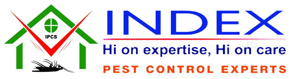 Client Logo Placeholder