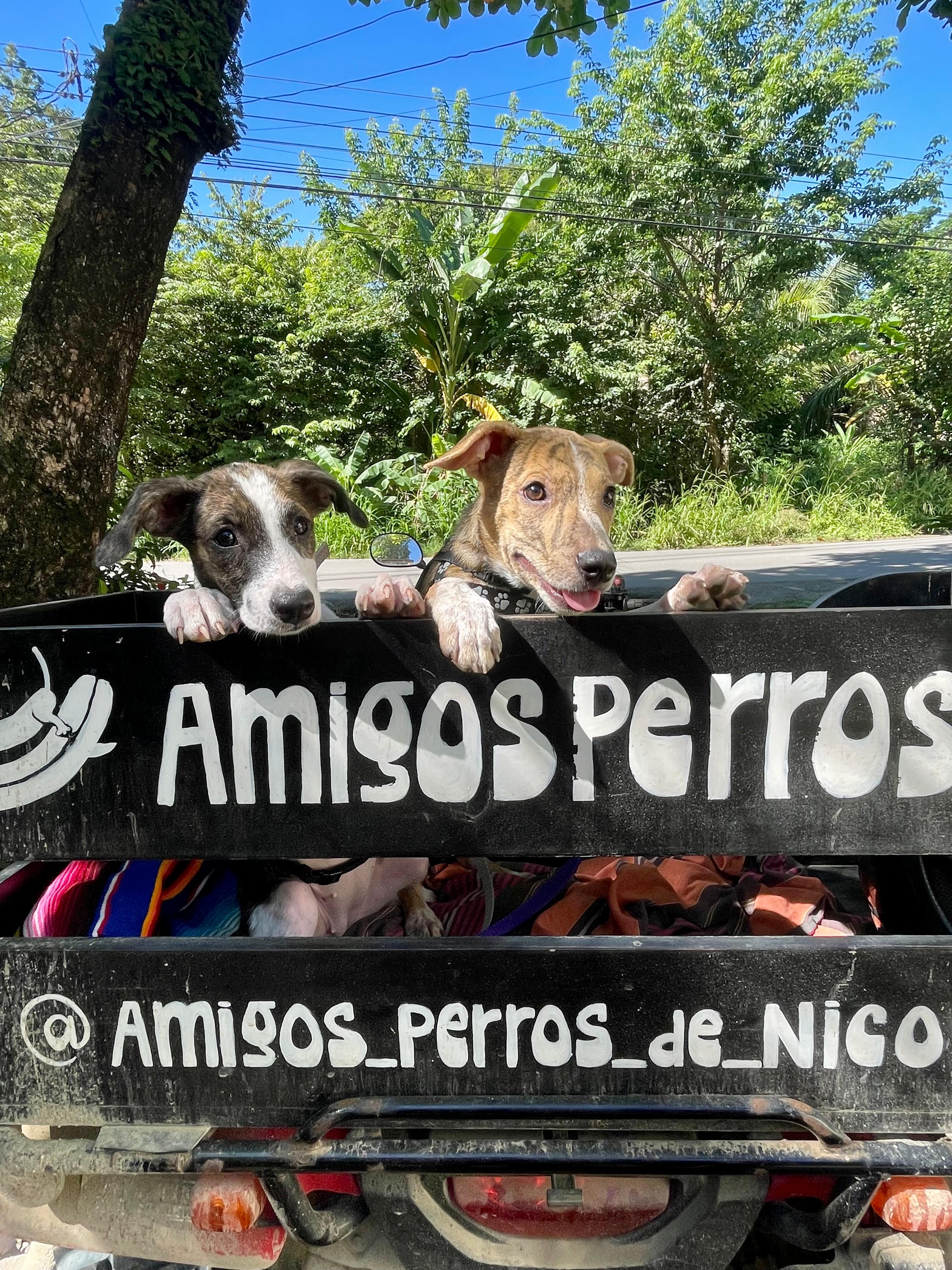 a black and white living room with a large tv