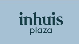 A red kite bird soaring against a white sky