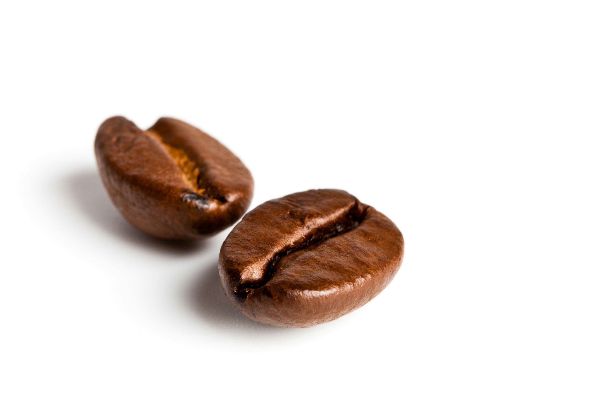 Two roasted coffee beans on white