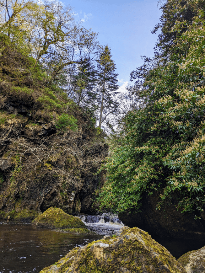 Dargle Valley