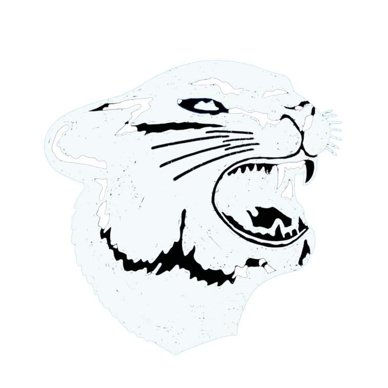 golden panther tattoo studio fremantle