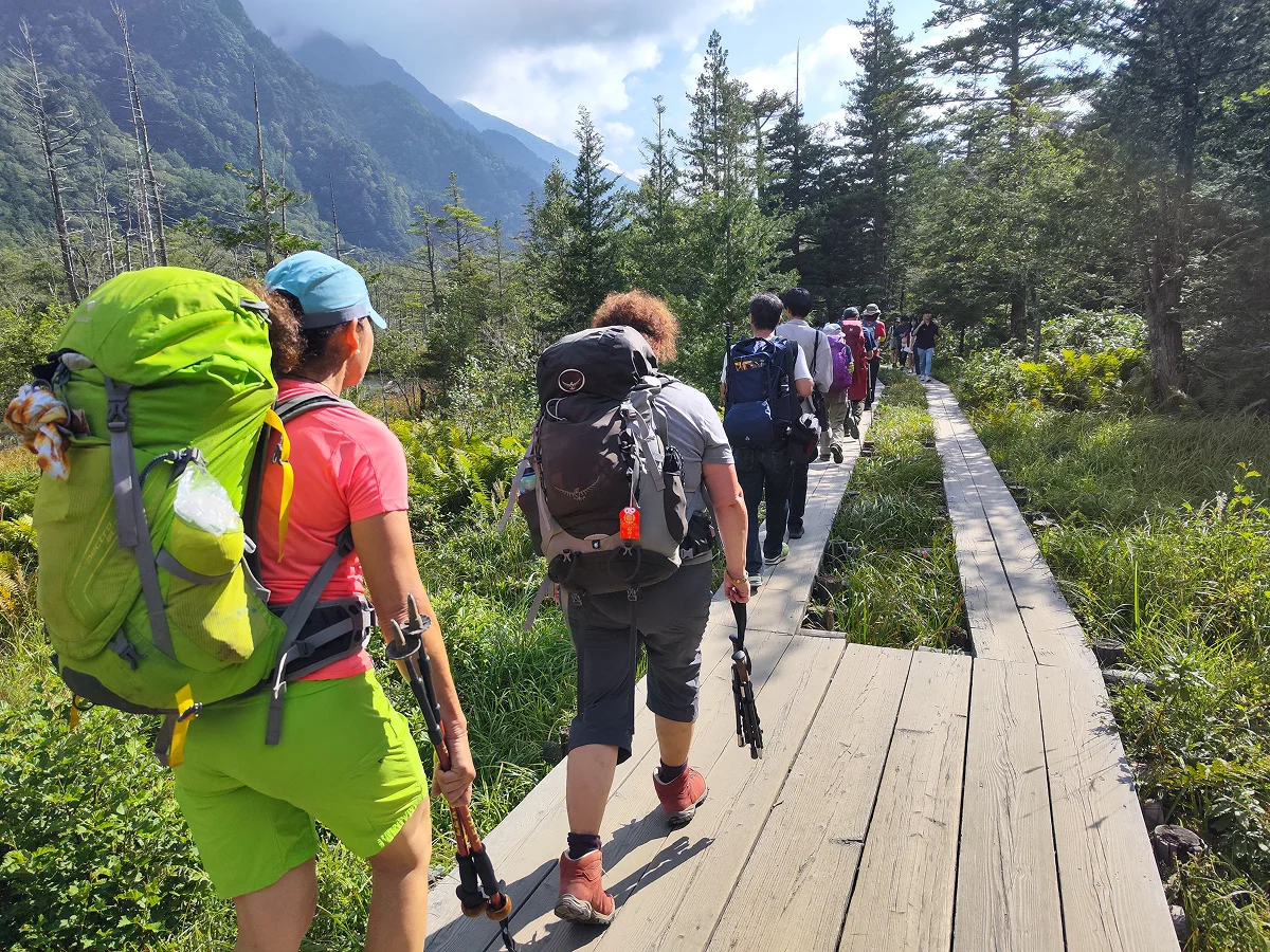 Reisegruppe wandert auf Holzsteg über Moor und Wald