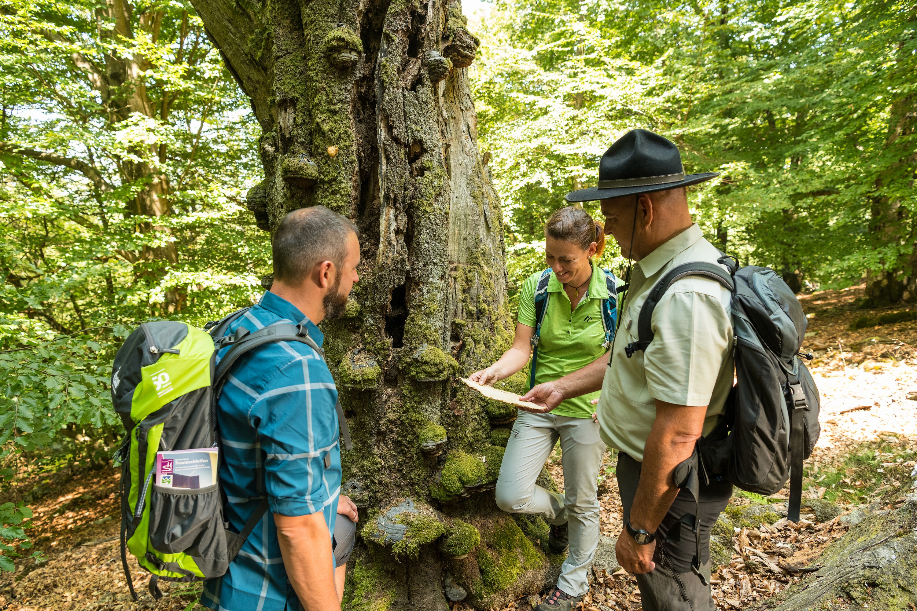 Mit einem Ranger auf der Traumschleife Kirschweiler Festung Auf einer Kontroll- und Beobachtungstour mit einem Ranger im Nationalpark Hunsrück-Hochwald können Sie mehr über den Wald und die Arbeit des Rangers erfahren. Getreu dem Motto "Natur Natur sein lassen" werden im 2015 eröffneten Nationalpark menschliche Eingriffe in die Natur unterlassen, sodass auf 10.000 ha Fläche pure Natur erlebbar wird.