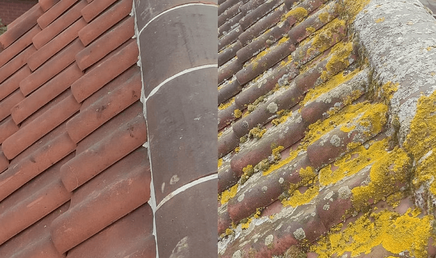 Vergelijking van dak vóór en na reiniging en hydrofugebehandeling tegen vocht en vervuiling