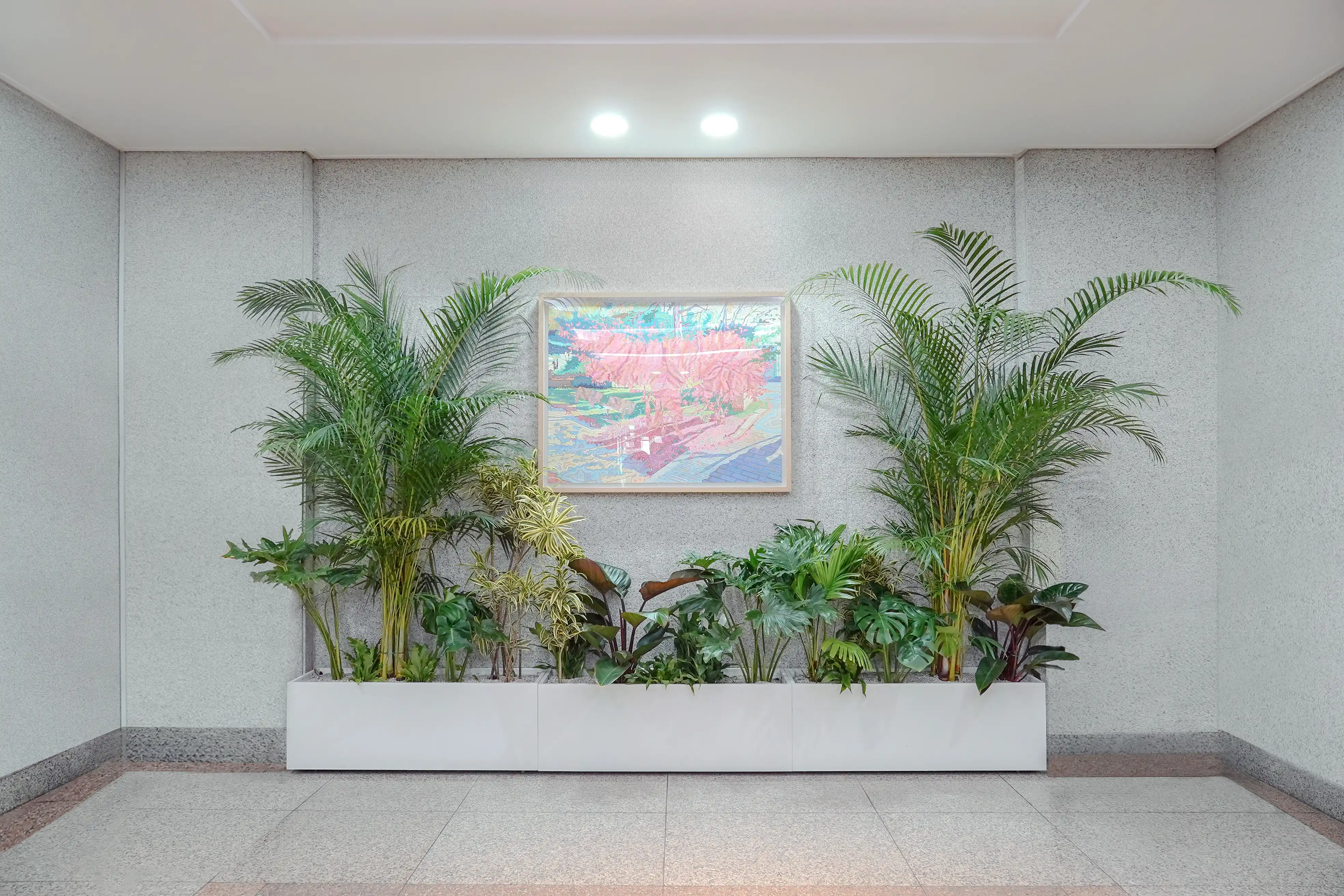 플랜테리어 설치된 후 개선된 대학병원 공간