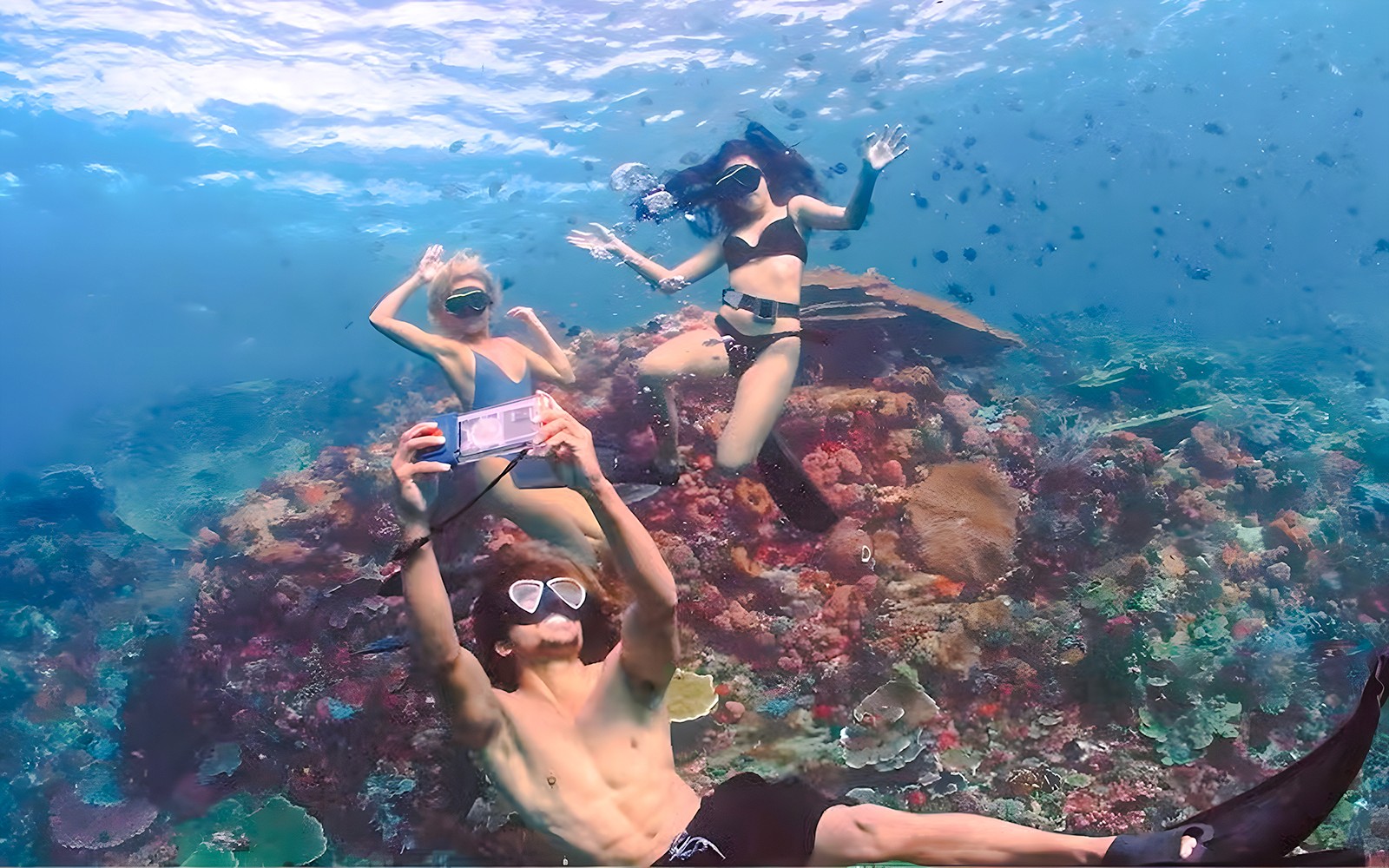Snorkelers exploring coral reef at the Underwater Museum of Marseille.