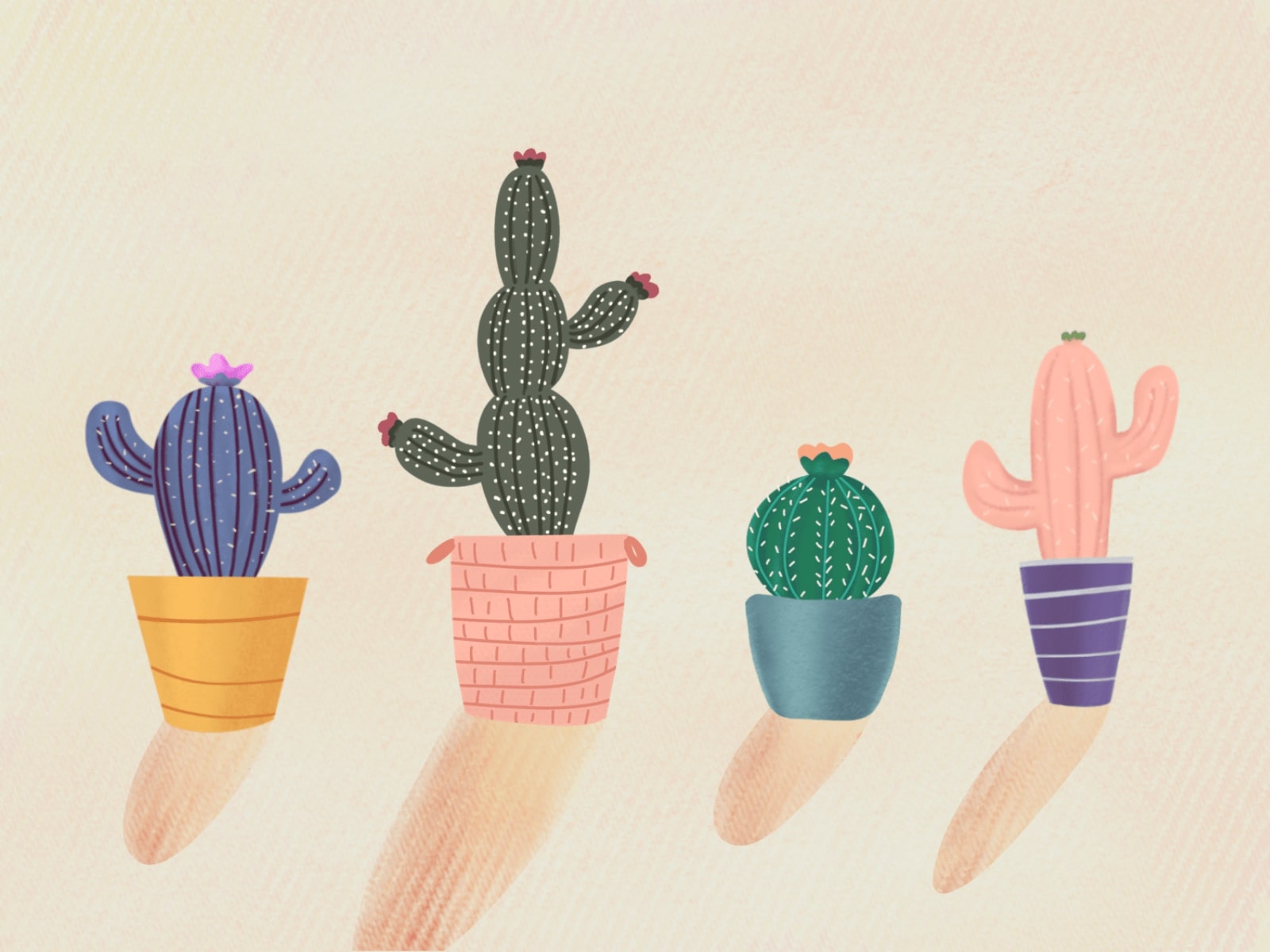 cactus drawings