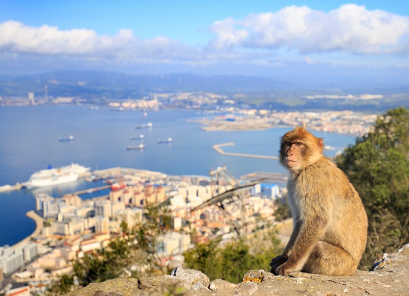 Gibraltar