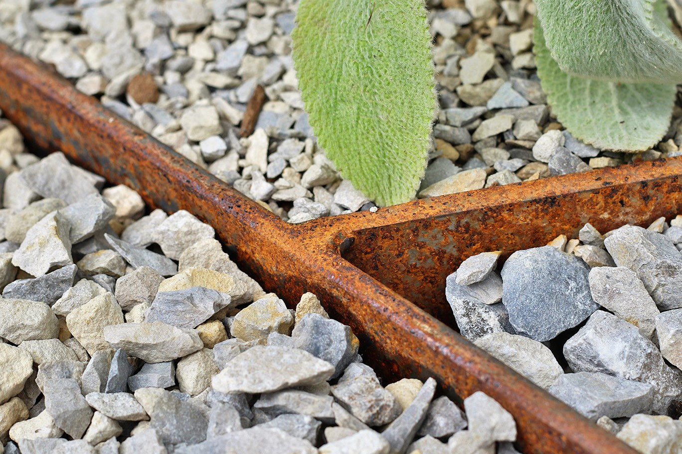 A close-up of a brown branch resting on small stones, surrounded by green leaves.