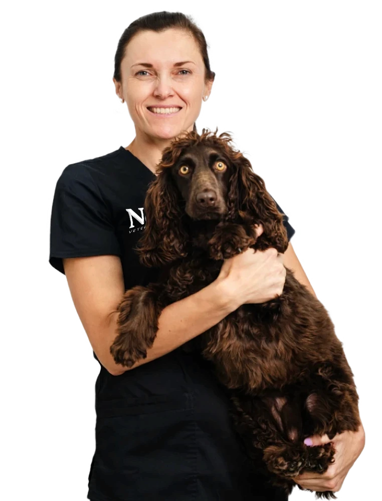 Dr. Paulina Czerska