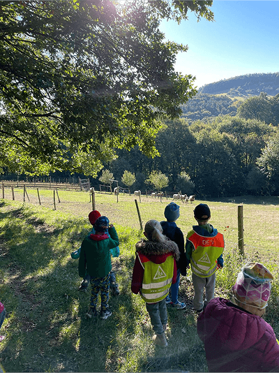 Děti v reflexních vestách na vycházce u lesa