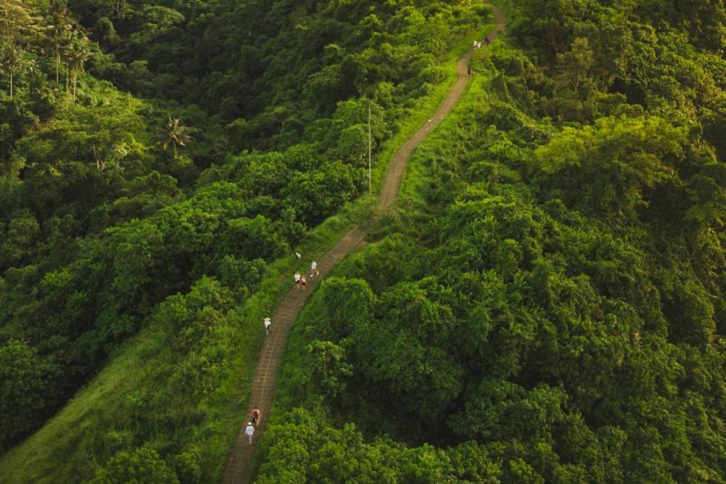 Aerial view of the Campuhan Ridge Walk trail, Bali