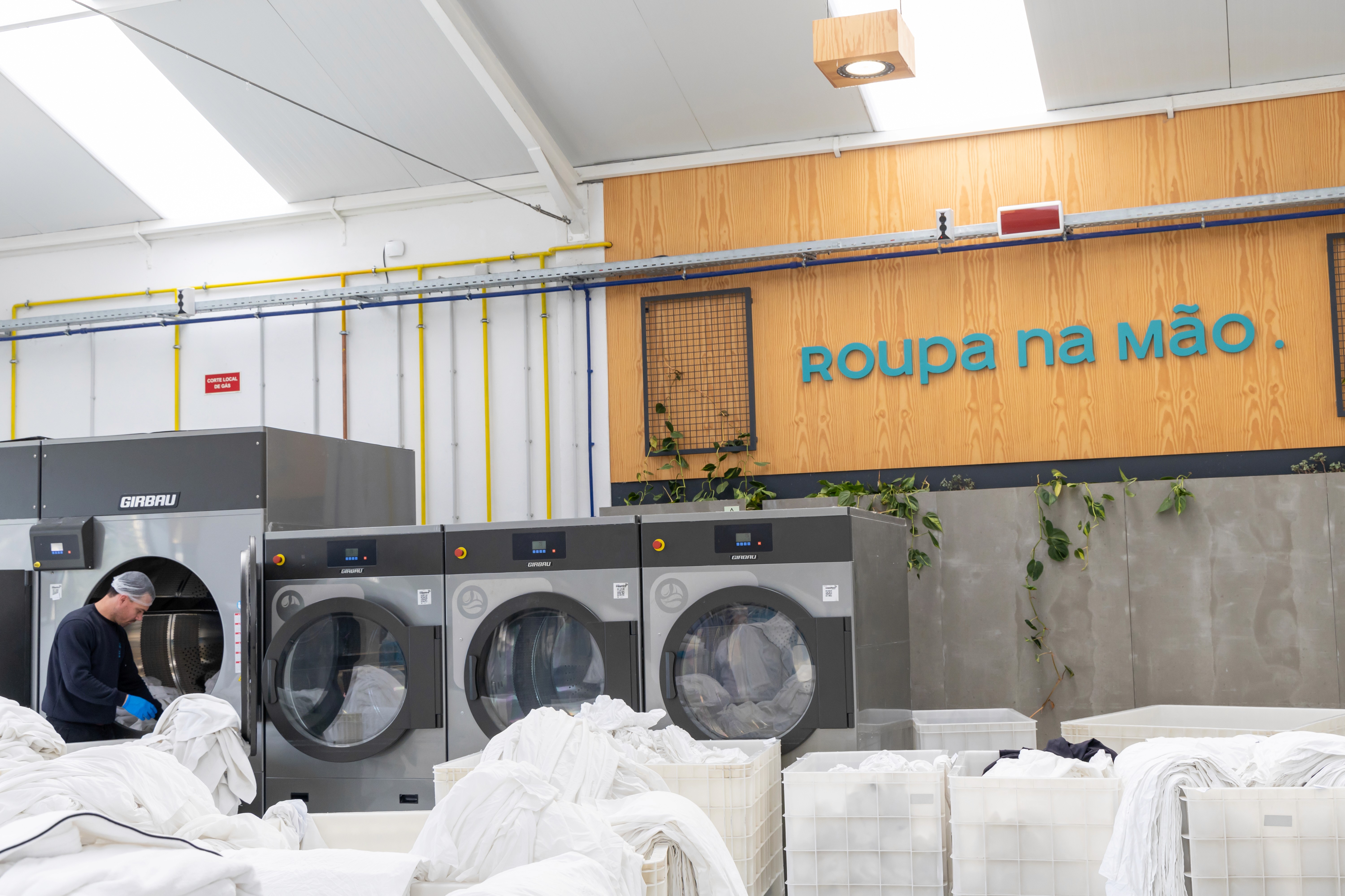 people sitting on chair in front of laptop computers