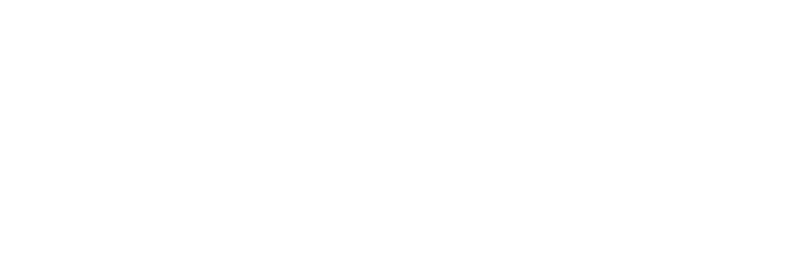Tupy's Logo