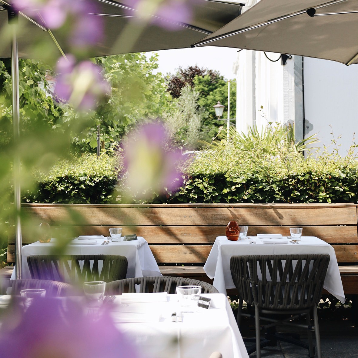 Posh restaurant interior with blue walls and large chandelier in the center