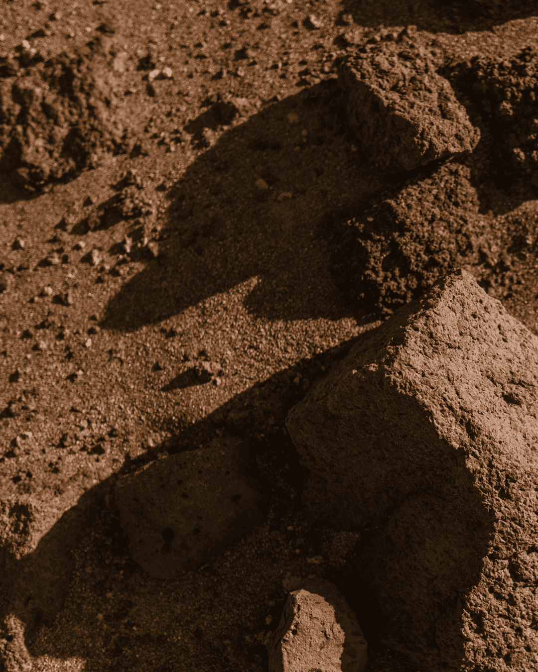 silhouette photography of woman doing yoga
