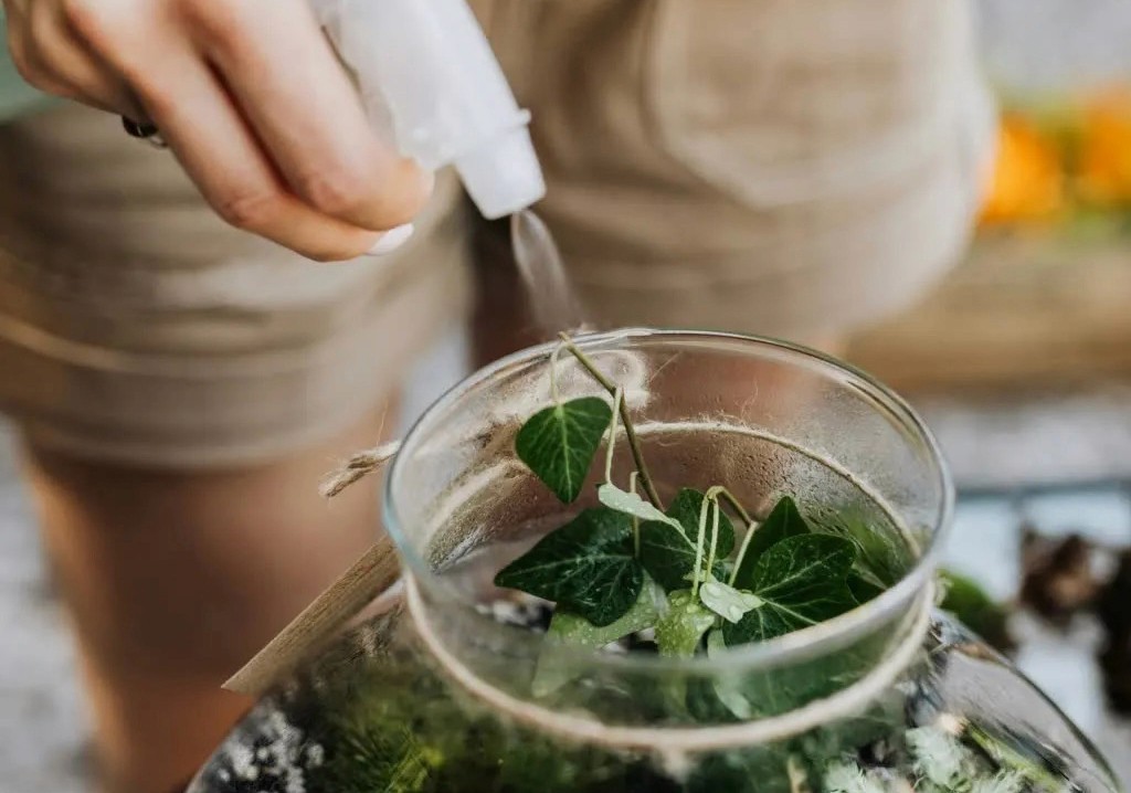 Close up of a person hand-misting a terrarium