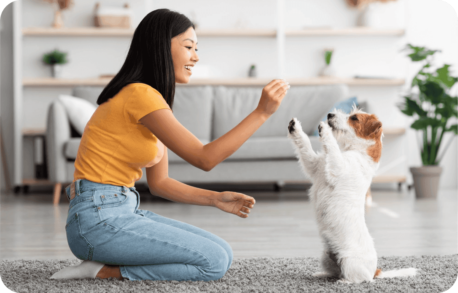 Person playing with dog