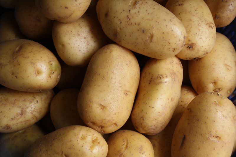 Fecola di patate