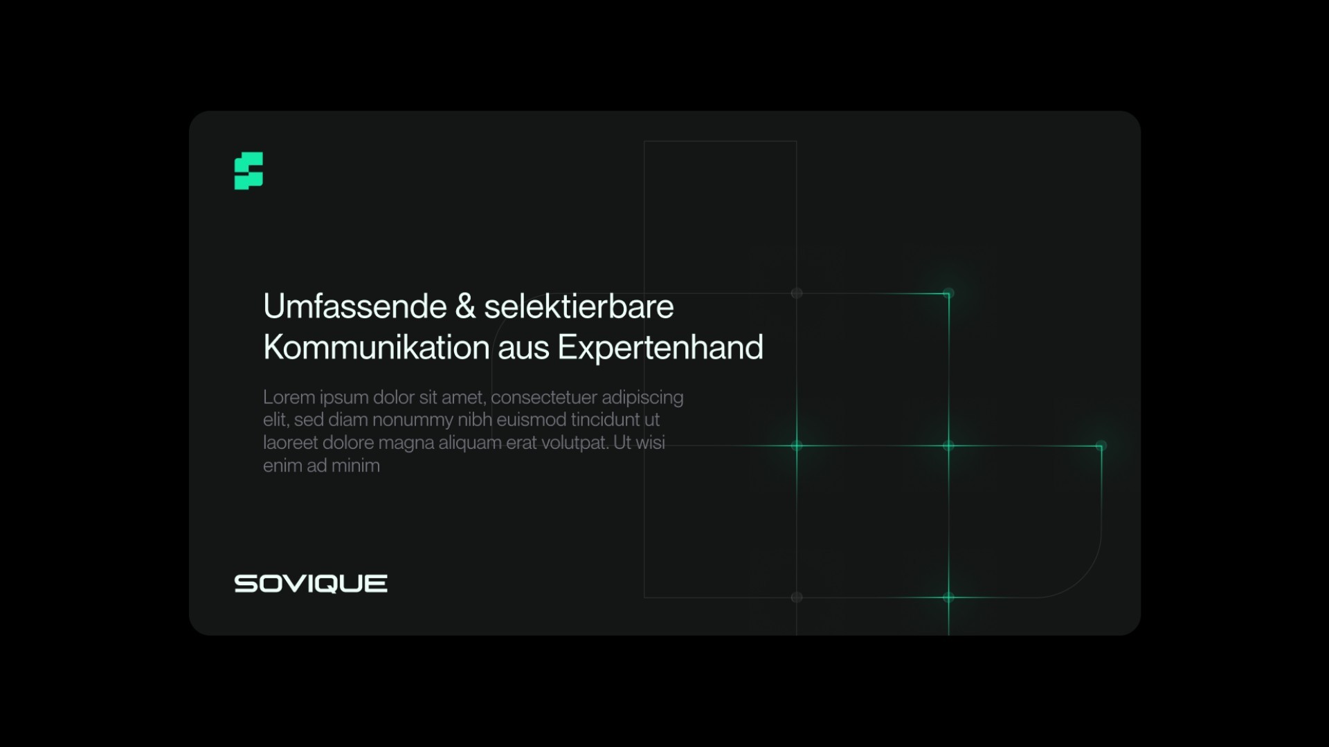 Dom Pérignon vineyards from the sky