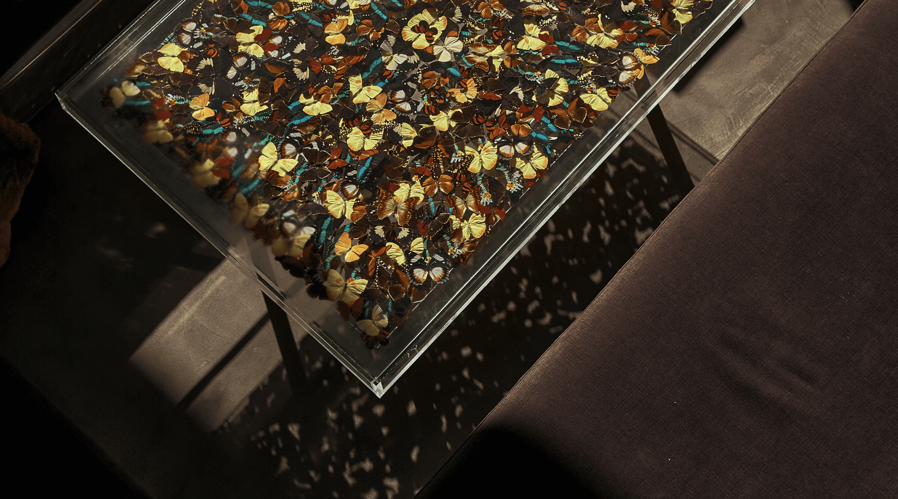 Grāhanå hero image — close-up of a sculptural table covered in delicate butterfly wings beside a minimal lounge sofa, representing transformation, natural beauty, and mindful design in luxury hospitality branding by Astrophat Studio.