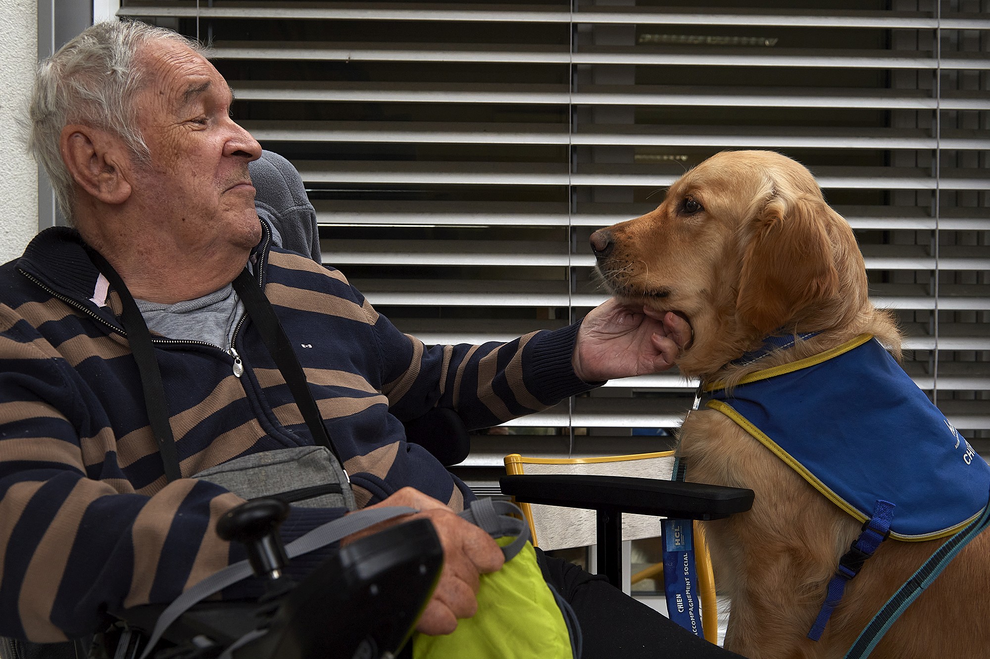 Le calme et la gentillesse de Saïko fait oublier la crainte ou l’appréhension que pourraient avoir certains résidents avec les animaux.