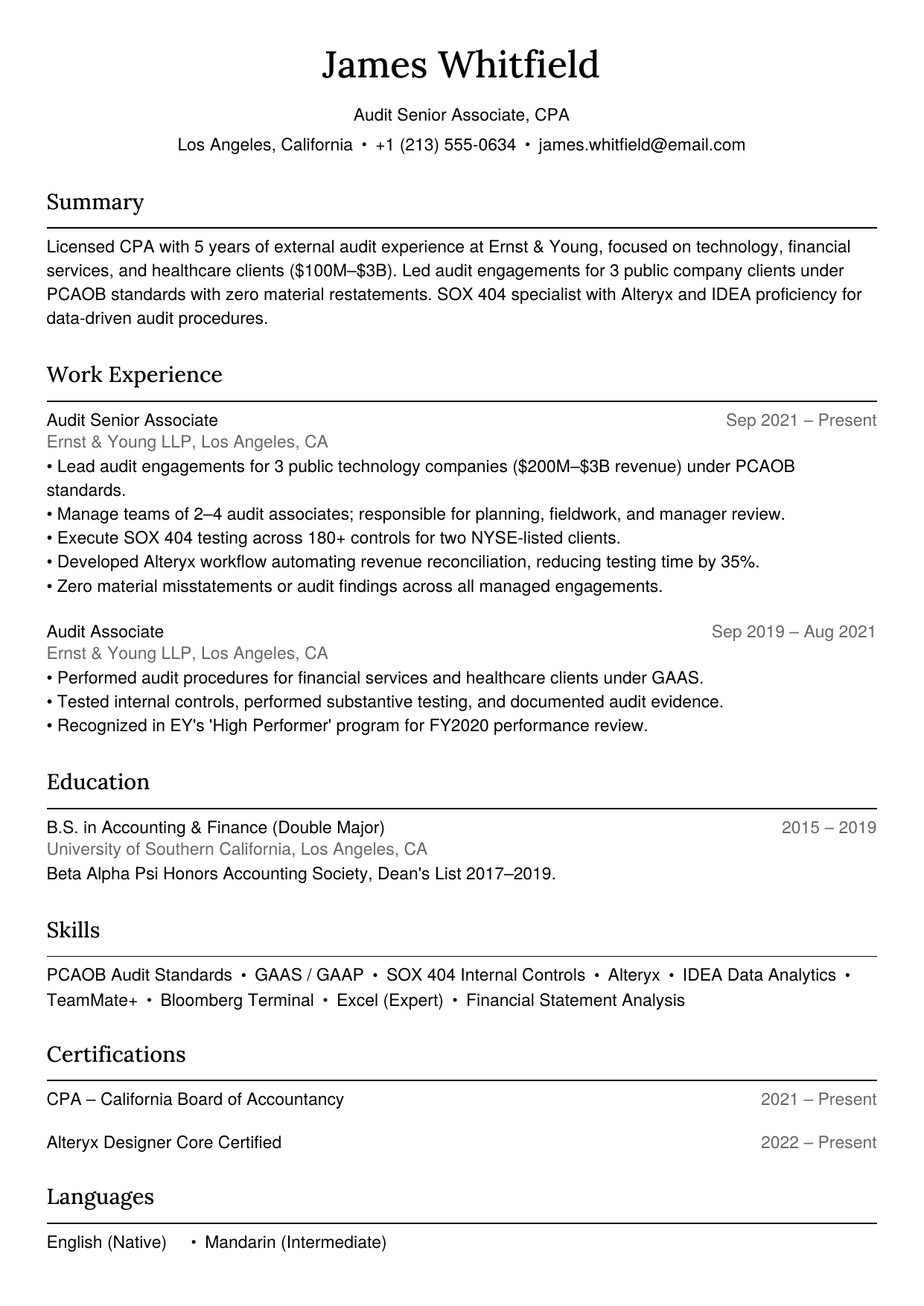 Audit accountant resume example
