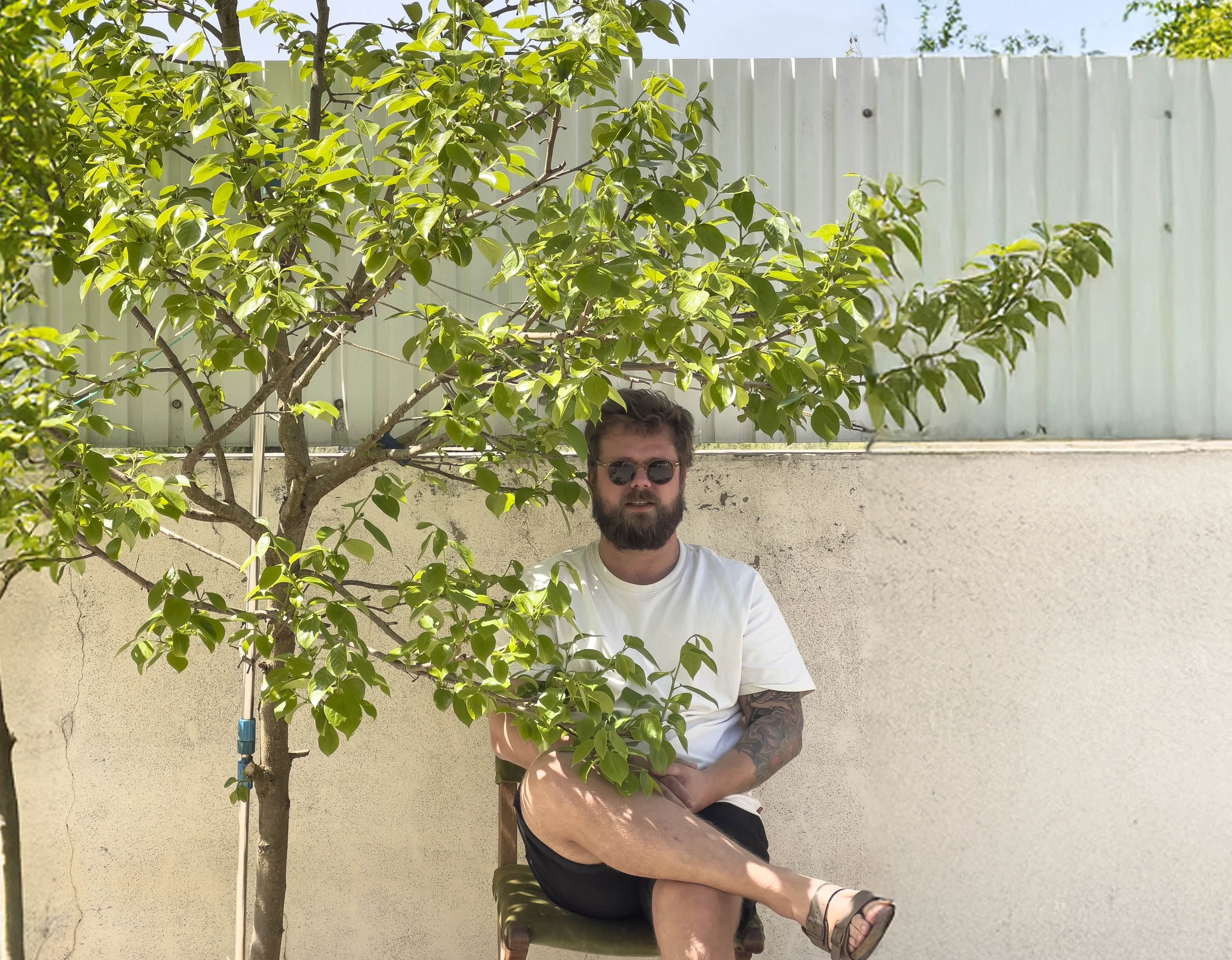 Close-up of a yellow tennis ball sitting on a green court, positioned near the white center line.