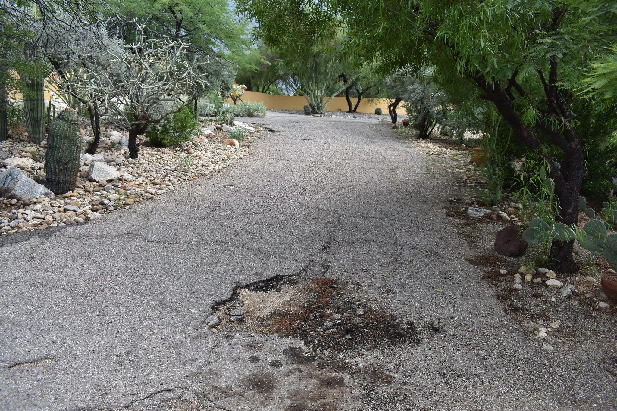 Before: bare backyard with plumbing rough-in prior to a new concrete slab in Tucson