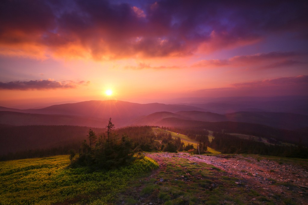 The Last Light of Home by Aleksander Dylikowski