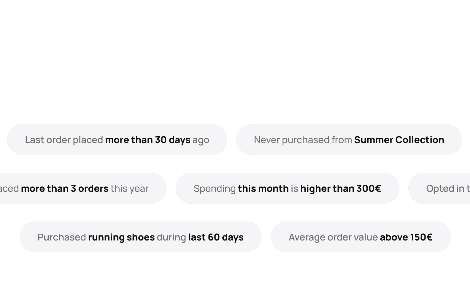 Visual depicting segmentation filters that enable VibeCart customers to segment and target their messaging (desktop view).