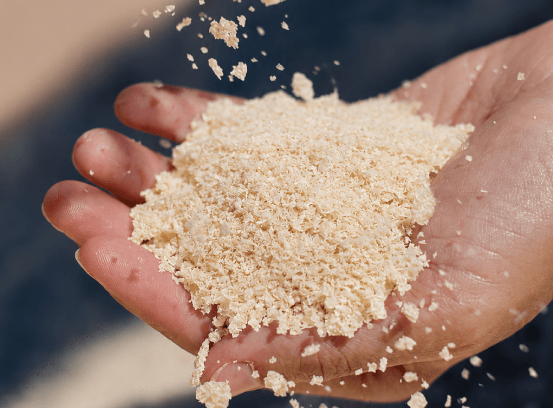 Shrimp-derived chitin powder used as a functional feed additive in aquaculture and livestock nutrition