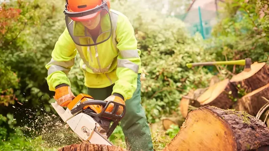 Arboriculture - Types of Horticulture Crops.webp