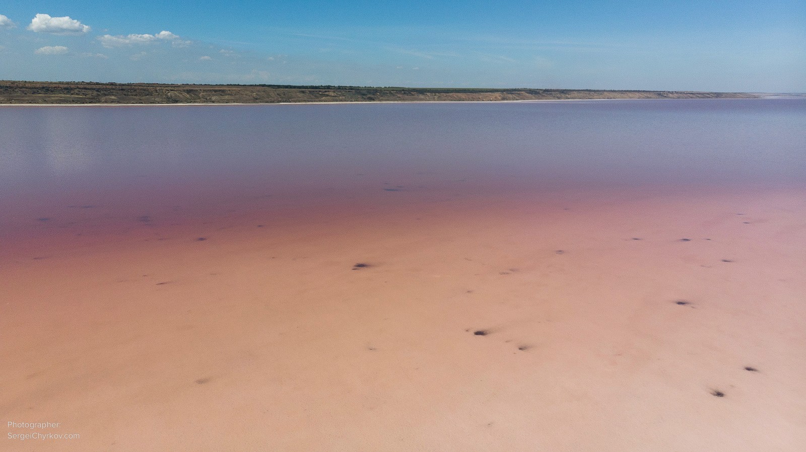 Одесский Куяльник, розовое цветение. Фотограф Сергей Чирков. 