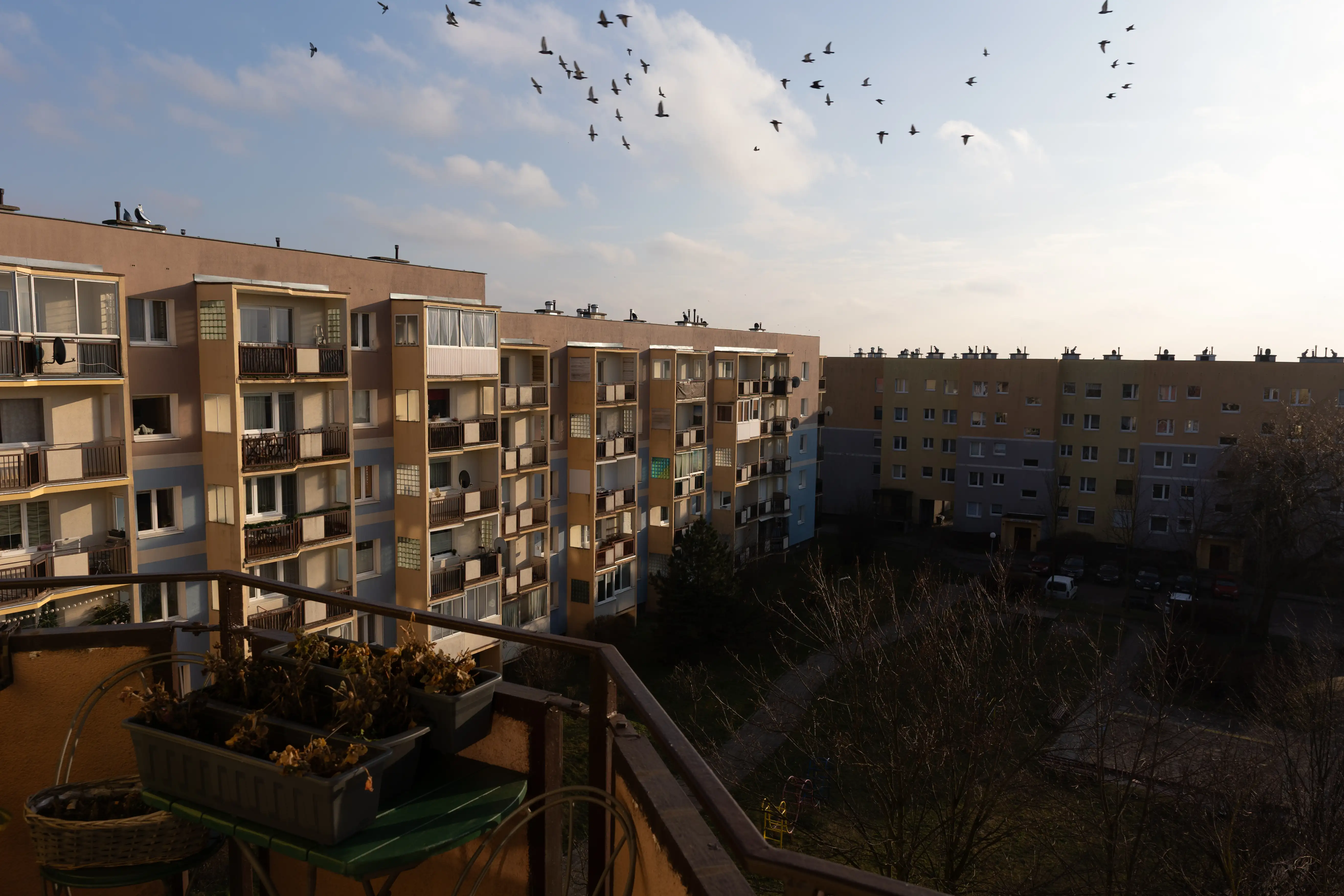 Widok blokowisk miejskich z placem w środku. W tle niebieskie niebo z kilkoma chmurami oraz latającymi ptakami.