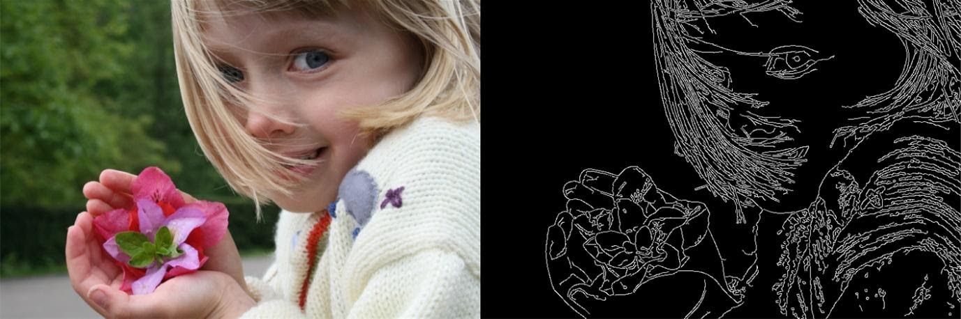 Edge detection applied to a picture of a girl with a pink flower