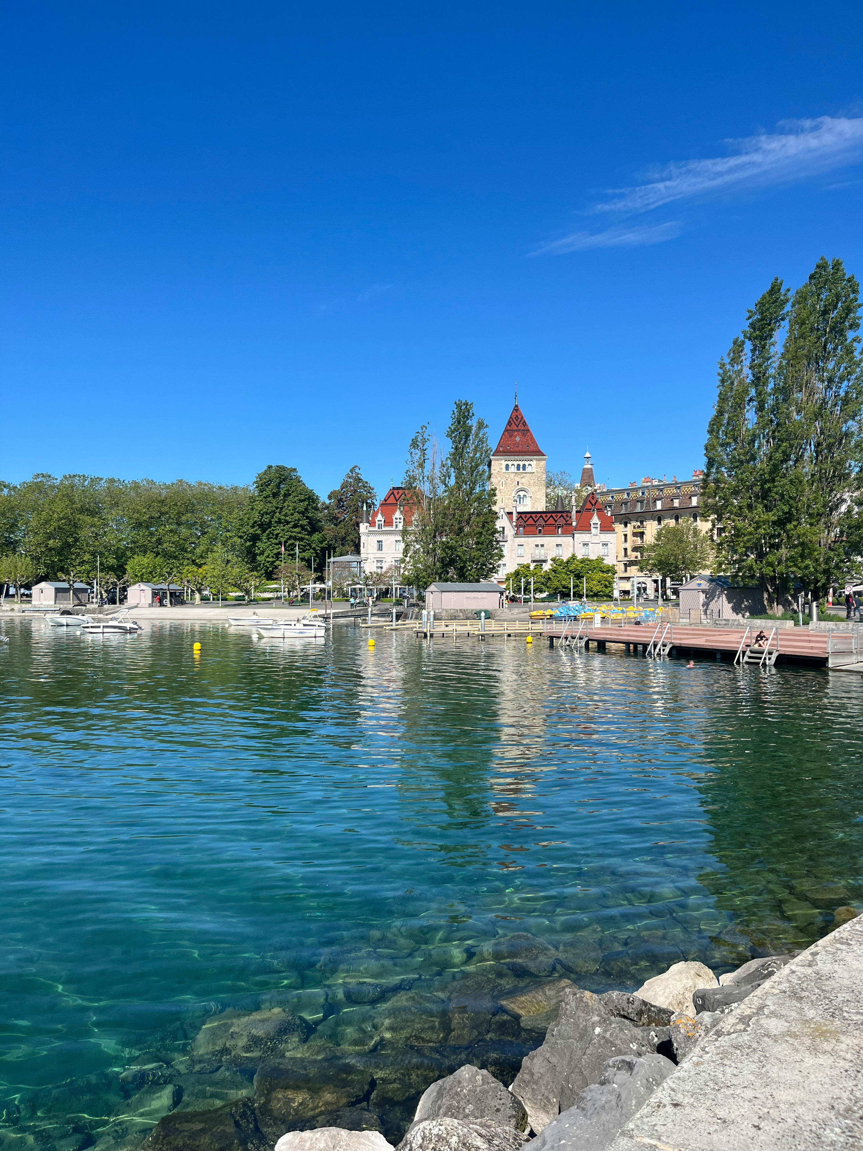 A body of water surrounded by trees and buildings