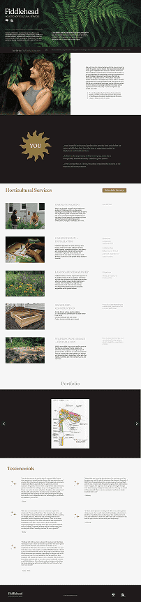 The website before the redesign